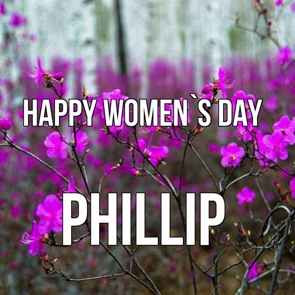 Greetings card с именем, Phillip happy women`s day дикие цветы Greetings with text for free download 